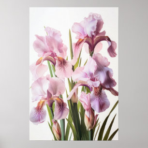 Poster de impresión de arte de flores de iris rosa