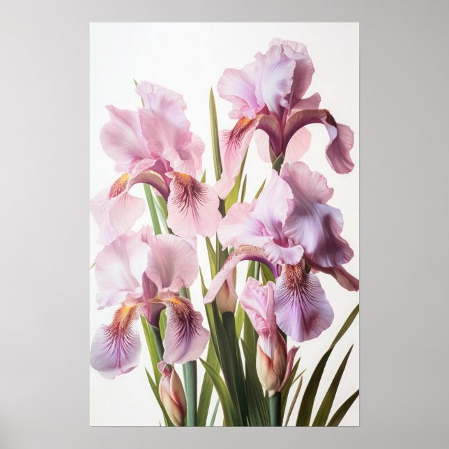 Poster de impresión de arte de flores de iris rosa (Frente)