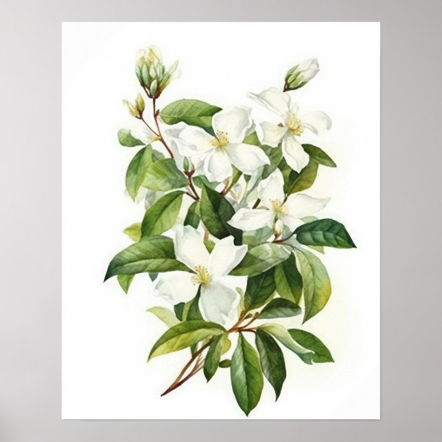 Poster de impresión de arte de flores de jazmín bl (Frente)