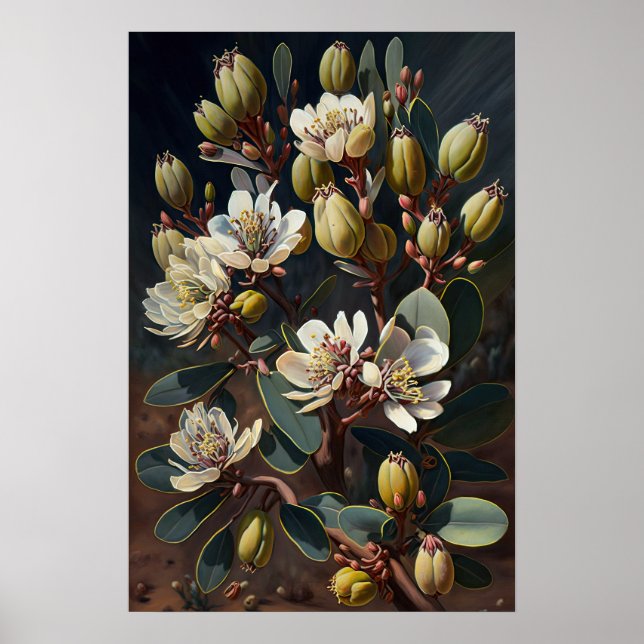 Poster de impresión de arte de flores de Jojoba bl (Frente)