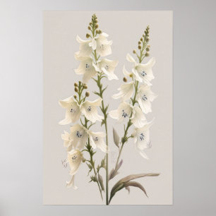 Poster de impresión de arte de flores de Larkspur 