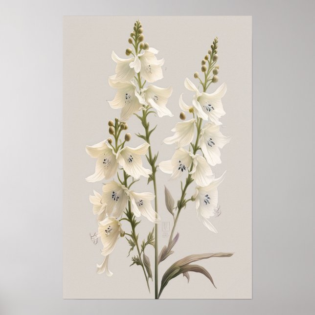 Poster de impresión de arte de flores de Larkspur  (Frente)