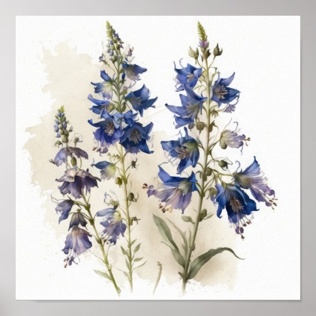 Poster de impresión de arte de flores de Larkspur  (Frente)
