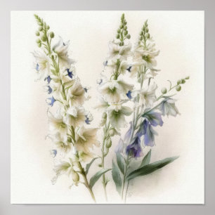 Poster de impresión de arte de flores de Larkspur 
