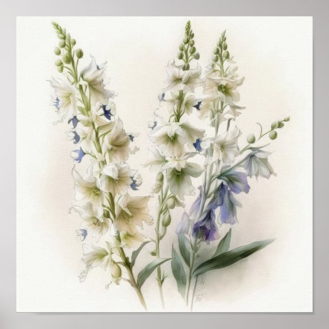 Poster de impresión de arte de flores de Larkspur  (Frente)