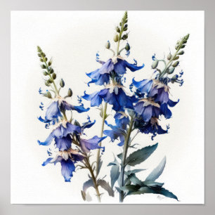 Poster de impresión de arte de flores de Larkspur 