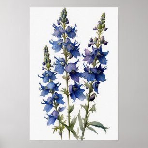 Poster de impresión de arte de flores de Larkspur