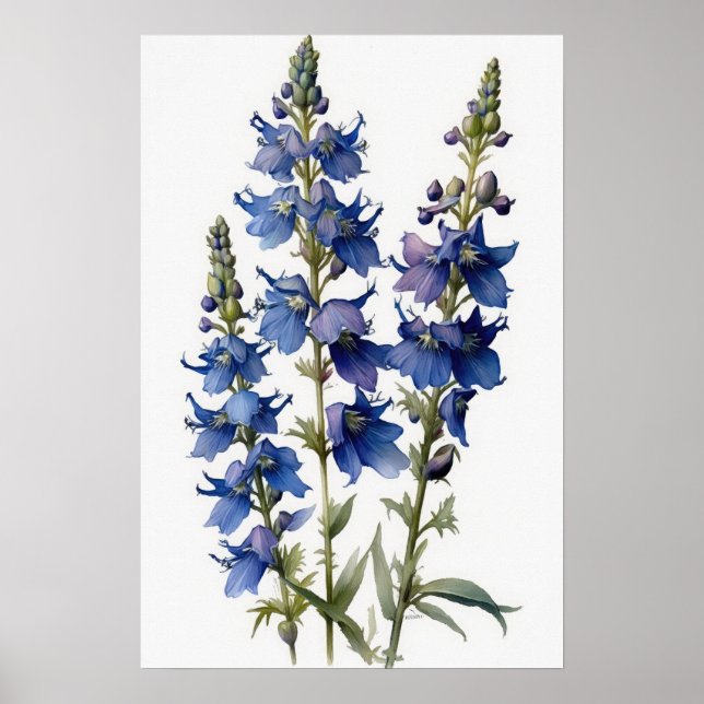 Poster de impresión de arte de flores de Larkspur  (Frente)