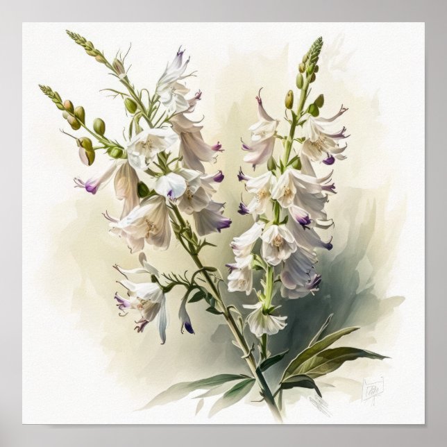 Poster de impresión de arte de flores de Larkspur  (Frente)