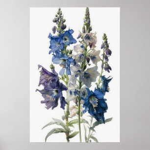 Poster de impresión de arte de flores de Larkspur