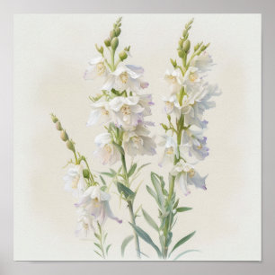 Poster de impresión de arte de flores de Larkspur 