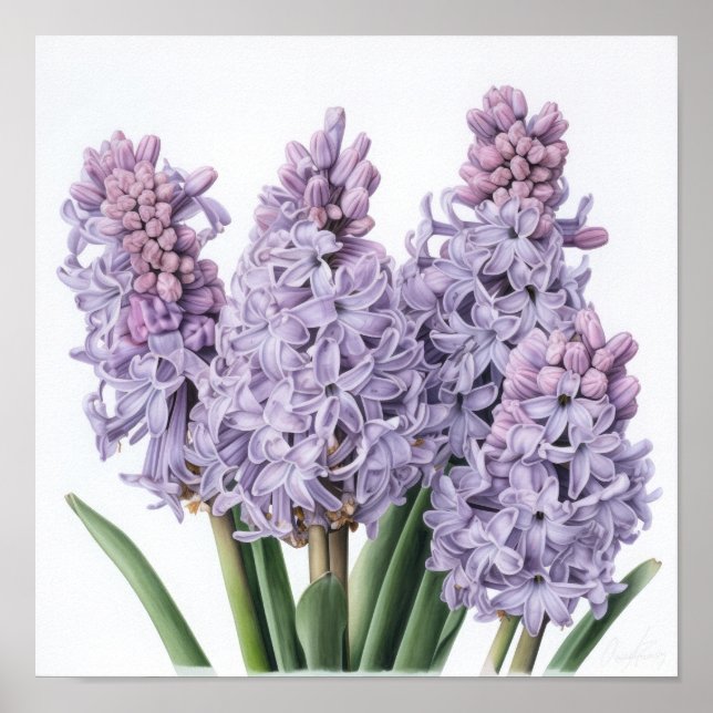 Poster de impresión de arte de flores de lavanda H (Frente)
