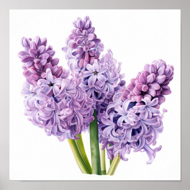 Poster de impresión de arte de flores de lavanda H (Frente)