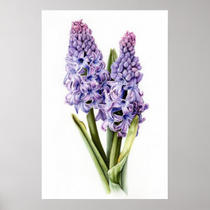 Poster de impresión de arte de flores de lavanda H