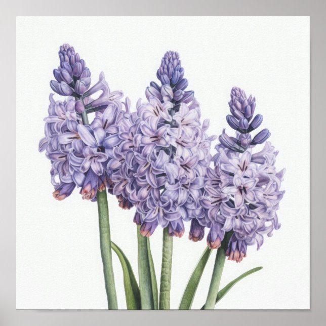 Poster de impresión de arte de flores de lavanda H (Frente)