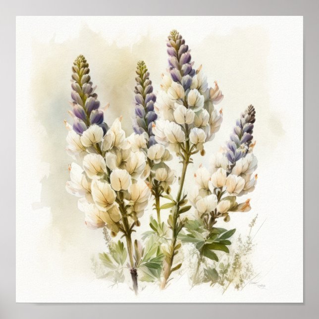 Poster de impresión de arte de flores de lupa blan (Frente)