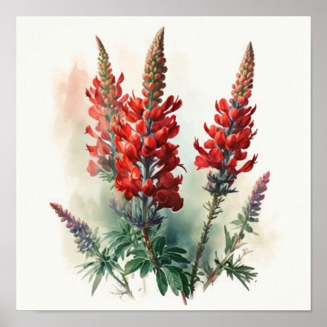Poster de impresión de arte de flores de lupa roja (Frente)