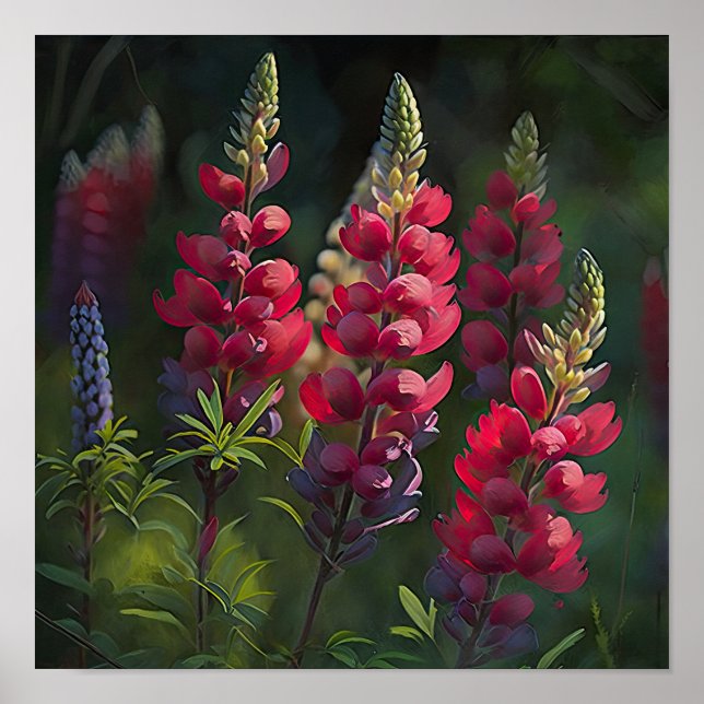 Poster de impresión de arte de flores de lupa roja (Frente)