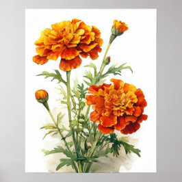 Poster de impresión de arte de flores de Marigold