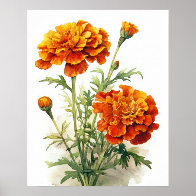 Poster de impresión de arte de flores de Marigold (Frente)