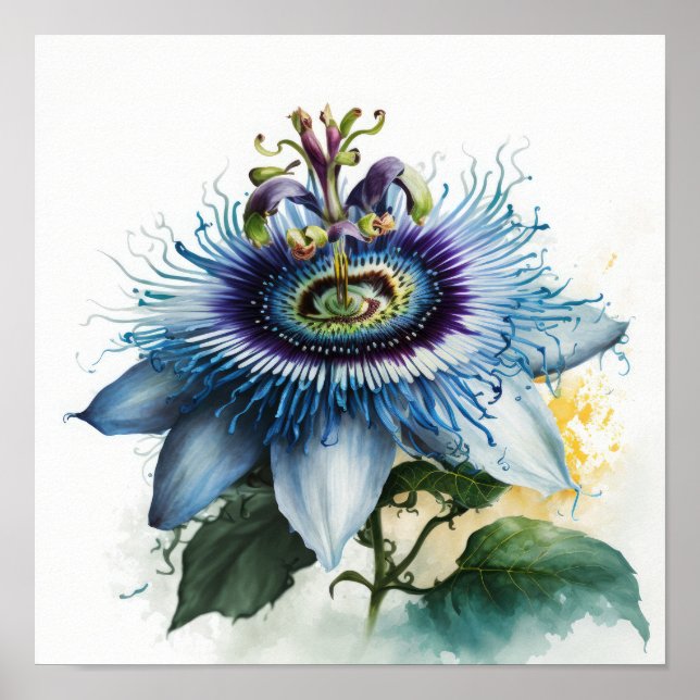 Poster de impresión de arte de flores de pasión az (Frente)
