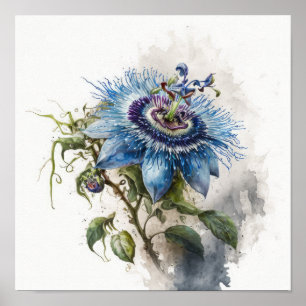 Poster de impresión de arte de flores de pasión az