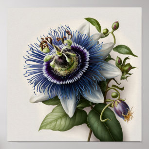 Poster de impresión de arte de flores de pasión az