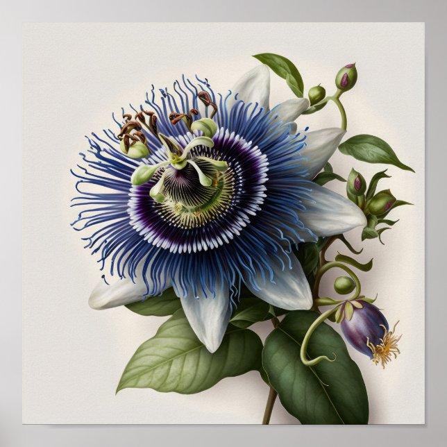 Poster de impresión de arte de flores de pasión az (Frente)