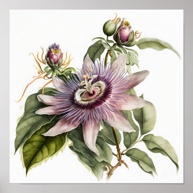 Poster de impresión de arte de flores de pasión ro (Frente)
