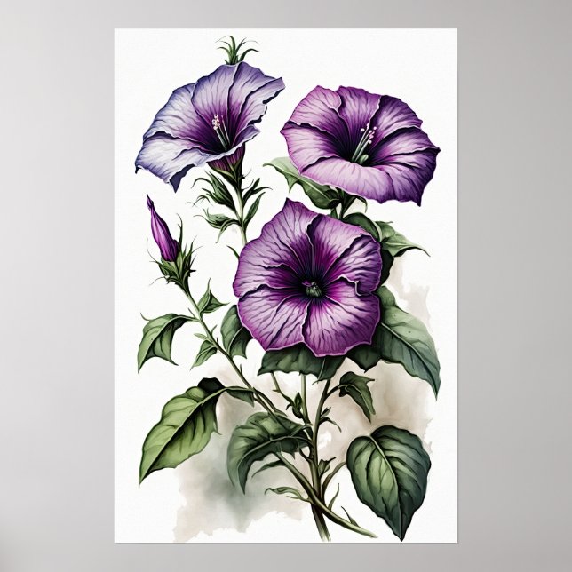 Poster de impresión de arte de flores de Petunias  (Frente)