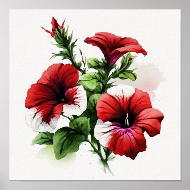 Poster de impresión de arte de flores de Petunias  (Frente)