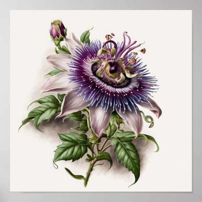 Poster de impresión de arte de flores de púrpura (Frente)