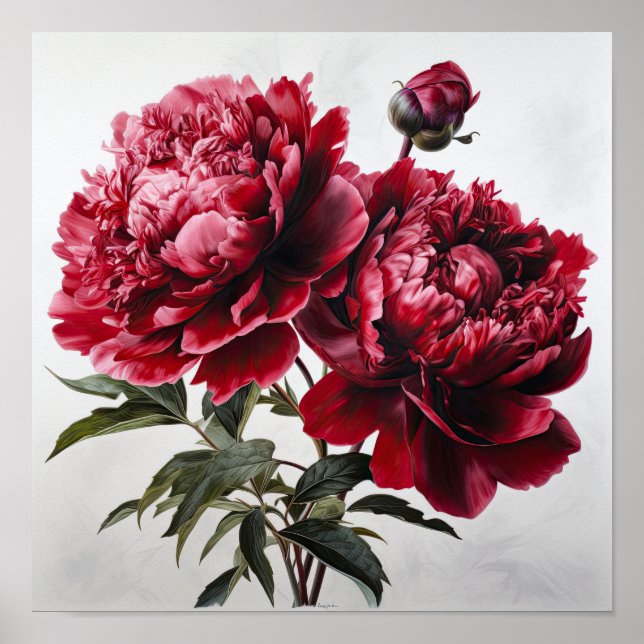 Poster de impresión de arte de flores de Red Peoni (Frente)