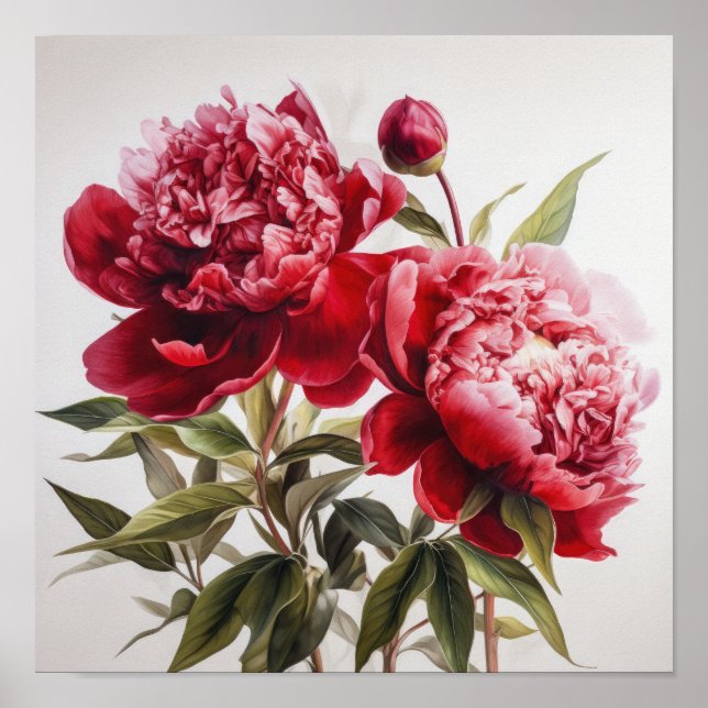 Poster de impresión de arte de flores de Red Peoni (Frente)