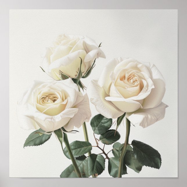Póster de Impresión de Arte de Flores de Rosas Bla (Frente)