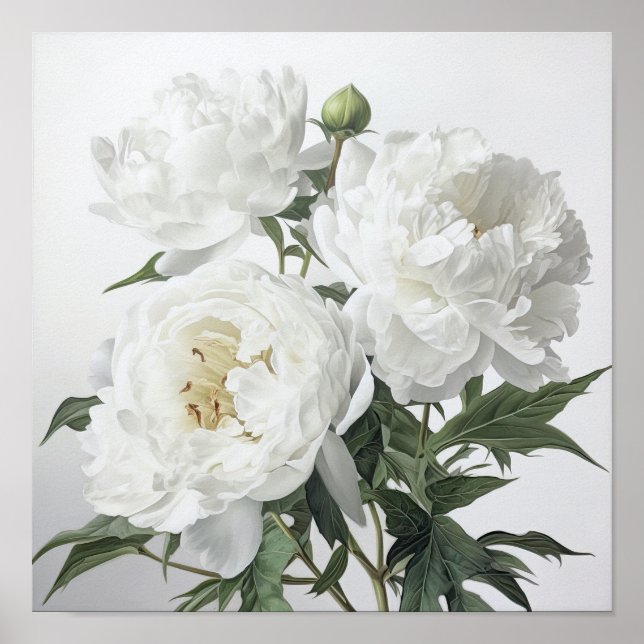 Poster de impresión de arte de flores de White Peo (Frente)