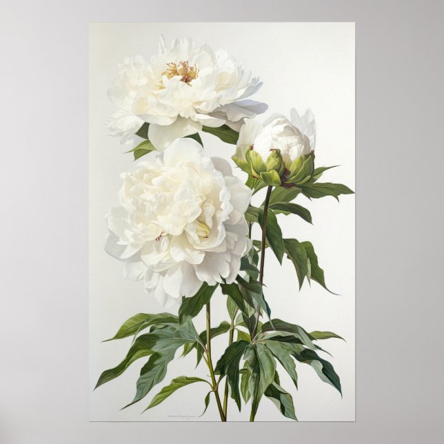 Poster de impresión de arte de flores de White Peo (Frente)