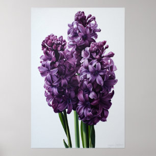 Poster de impresión de arte de flores morado de Hy