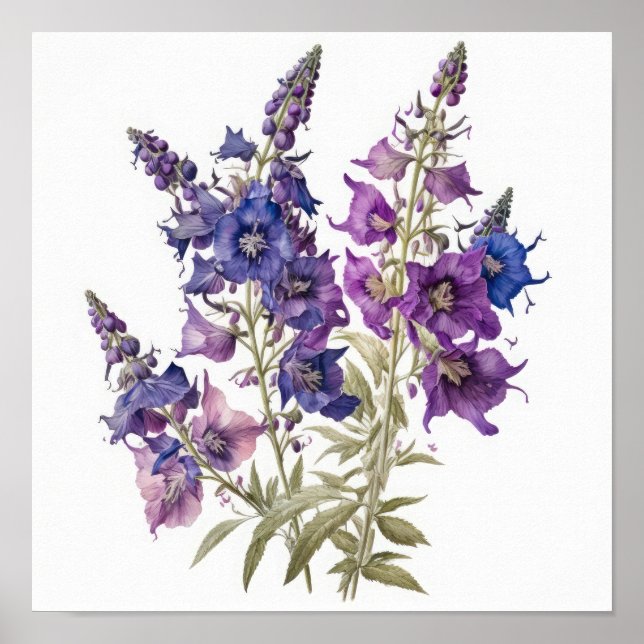 Poster de impresión de arte de flores morado Larks (Frente)