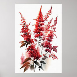 Poster de impresión de arte de flores rojo Astilbe