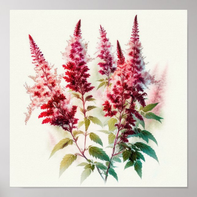 Poster de impresión de arte de flores rojo Astilbe (Frente)