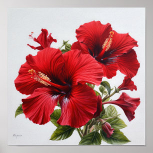 Poster de impresión de arte de flores rojo hibiscu