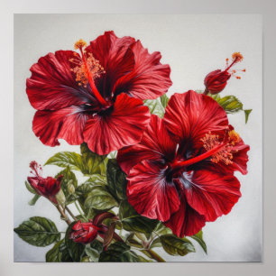 Poster de impresión de arte de flores rojo hibiscu