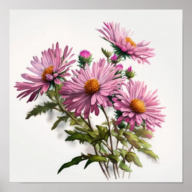 Poster de impresión de arte de flores rosa Aster (Frente)