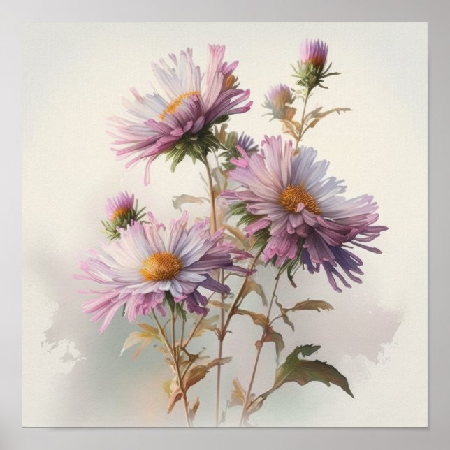 Poster de impresión de arte de flores rosa Aster (Frente)