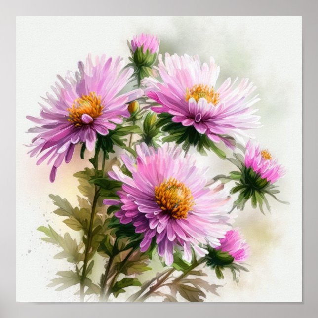 Poster de impresión de arte de flores rosa Aster (Frente)