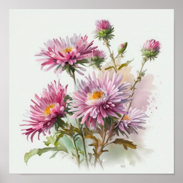 Poster de impresión de arte de flores rosa Aster (Frente)