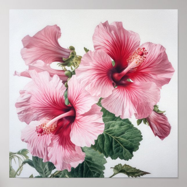 Poster de impresión de arte de flores rosado Hibis (Frente)