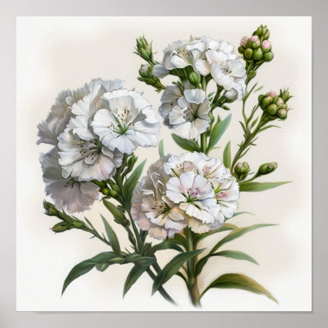 Poster de impresión de arte de flores William Swee (Frente)