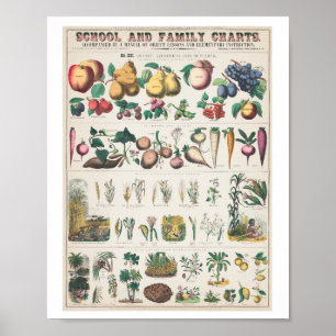 Poster de impresión de arte de la familia de fruta